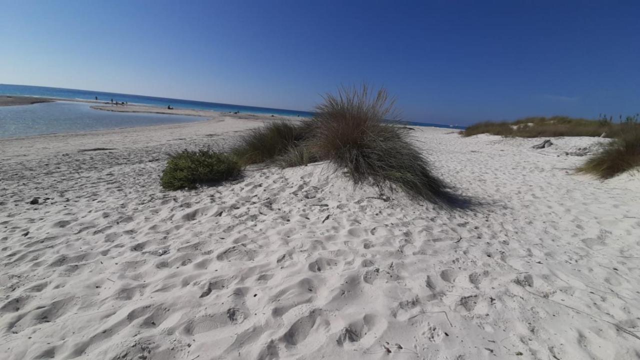 Aparthotel Morf - Soulful Casale Marittimo
